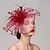 cheap Fascinators-Feathers / Net Fascinators / Hats / Headpiece with Feather / Cap / Flower 1 PC Wedding / Horse Race / Melbourne Cup Headpiece