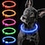 cheap Dog Collars, Harnesses &amp; Leashes-LED Dog Collar USB Rechargeable Nylon Dog Flashing Collar Adjustable with Steady Flash Blink Light