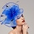 abordables Chapeaux et coiffes-Plumes / Filet Fascinateurs / Chapeaux / Casque avec Plume / Bonnet / Fleur 1 PC Mariage / Course de chevaux / Coupe de Melbourne Casque