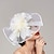 ieftine Pălării &amp; Fascinatoare-Pene / Net Palarioare / Palarie / Accesoriu de Păr cu Pene / Șapcă / Flori 1 Bucată Nuntă / Cursă de cai / Cupa Melbourne Diadema