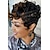 cheap Black &amp; African Wigs-Black Wigs for Women Short Ombre Brown Black Curly Hair Wigs for Black Women Synthetic Short Wigs for Black Women African American Women Wigs