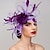 cheap Fascinators-Elegant Fascinator Hats Net Mesh Tulle Headpiece Clip Headband with Feather Flower Floral  Kentucky Derby Wedding Tea Party Horse Race Church Cocktail Vintage for Women