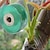 Χαμηλού Κόστους αξεσουάρ φροντίδας φυτών-100 μέτρα ρολό ταινία παραφίλμ κλάδεμα strecth μόσχευμα εκκολαπτόμενο εμπόδιο ανθοπωλείο κλαδευτήρι φυτό οπωροφόρα δέντρο φυτώριο υγρασία κήπο επισκευή σπόροι
