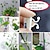 cheap Gardening-20 Pieces Invisible Wall Rattan Clamp Plant Climbing Wall Self-Adhesive Fixator Vine Buckle Hook Rattan Fixed Clip Bracket Plant Stent Support