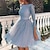Χαμηλού Κόστους Φορέματα NYE-Γυναικεία Φόρεμα για πάρτυ Φόρεμα ριχτό από τη μέση και κάτω Μίντι φόρεμα Χρυσό Ανθισμένο Ροζ Μπλε Απαλό 3/4 Μήκος Μανικιού Μονόχρωμες Εξώπλατο Χειμώνας Φθινόπωρο Άνοιξη Στρογγυλή Ψηλή Λαιμόκοψη