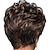 cheap Black &amp; African Wigs-Ladies Wig, Short Fluffy Curly Hair, Natural Heat-Resistant Synthetic Wig, Suitable for Parties, Parties and Daily Use