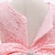 cheap Dresses-Kids Little Girls&#039; Dress Color Block Wedding Party Daily Lace Patchwork Purple Pink Dusty Rose Cotton Knee-length Sleeveless Princess Dresses Summer Regular Fit 3-10 Years / Holiday