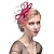 billige Fascinatorer og hatter-Elegant Derby Hodeplagg Fascinator Gentlewoman Kostyme Dame Karneval Fest Derby Bryllupsfest Voksne Fascinator Vår sommer