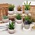 billiga konstgjord växt i kruka-25 cm falska saftiga krukväxter konstgjorda växter kreativa skrivbordsträd plastblad bonsai för heminredning alla hjärtans dag present