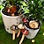 お買い得  装飾的な庭の賭け-庭の庭の妖精の庭の芝生の飾りの装飾陶器の飾り庭のセラミックキノコの像の庭の鍋の装飾のための4個のセラミックキノコ