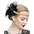 abordables El gran Gatsby-Vintage Rugido 20s 1920s Diadema de plumas Para la Cabeza El gran Gatsby charlestón Mujer Pluma Fiesta Fiesta de baile Fiesta de Boda Para la Cabeza