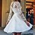 Χαμηλού Κόστους Γυναικεία Φορέματα-Γυναικεία Φόρεμα για πάρτυ Λευκό Μακρυμάνικο Μονόχρωμες Δαντέλα Χειμώνας Φθινόπωρο Στρογγυλή Ψηλή Λαιμόκοψη Μοντέρνα Πάρτι Χειμερινό φόρεμα Γενέθλια 2022 Τ M L XL
