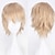 billiga Kostymperuk-s cosplay peruk för män och kvinnor värmebeständig fiber anime peruk 12inch