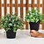 cheap Artificial Plant in Pot-Combination Simulation Potted Artificial Plants Fake Flowers Nordic Factory Direct Home Furnishing Soft Plant Pine Cones Black Tower Tree