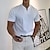 abordables Camisetas casuales de hombre-Hombre Camiseta Plano Escote en Pico Casual Festivos Manga Corta Ropa Deportes Moda Ligeras Músculo