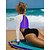 economico Rash Guards Interi-Per donna Costume da bagno Tagliato Body Costume da bagno Collage Costumi da bagno Blu Nero Protezione solare UV Traspirante Asciugatura rapida Manica lunga - Nuoto Surf Spiaggia Autunno Primavera