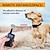 Χαμηλού Κόστους Εκπαίδευση για Σκύλους &amp; Συμπεριφορά-κολάρο εκπαίδευσης σκύλων με τηλεχειριστήριο ip67 αδιάβροχο δονούμενο κολάρο για εκπαίδευση κατοικίδιων