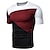 billige Casual T-skjorter for menn-Herre T skjorte Fargeblokk Crew-hals utendørs Sport Kortermet Klær Mote Enkel Bekvem