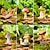 levne Sochy-dekorativní předměty pryskyřice moderní současná šedá houbička/hříbek králík/červená houba/dvě veverky/tři houby/žabí houba