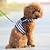 お買い得  犬用首輪＆ハーネス＆リード-ペットチェストハーネストラクションロープドッグチェーンテディ小型犬ウォーキングドッグロープvipチェストハーネスセット