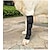 halpa Koiran vaatteet-koiran säärisuojat lemmikkieläinten jalkavamma nuolemisen esto nivelen kiinnitys palautushihnat nalle kultainennoutaja jalkakiinnike jalkatuki
