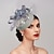 cheap Fascinators-Fascinators Hats Headpiece Feathers Net Saucer Hat Fall Wedding Party / Evening Melbourne Cup Cocktail Royal Astcot With Feather Cap Headpiece Headwear