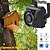 cheap Indoor IP Network Cameras-Bird Box Camera Kit Audio 1920P 1080P Night Vision Outdoor Mini IP Camera Pet Nest Bird Watching Camera Waterproof Pickup Camhi
