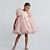 cheap Dresses-Kids Girls&#039; Dress Tie Dye Short Sleeve Party Ruched Mesh Puff Sleeve Cute Princess Polyester Knee-length A Line Dress Tulle Dress Summer Spring 2-8 Years White Pink Dusty Rose