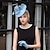 זול כובעים וקישוטי שיער-פוליאסטר fascinators קנטאקי דרבי כובע עם נוצה חתונת סתיו 1 יחידה / אירוע מיוחד / מסיבה / כיסוי ראש