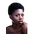 preiswerte Kappenlose Echthaarperücken-Kurze lockige Echthaar-Perücke, Afro-Perücke, verworren, im afrikanischen Stil für schwarze Frauen, keine Spitze, Remy-Lockenperücke, voll maschinell hergestellte Perücke