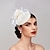cheap Fascinators-Fascinators Hats Headpiece Feathers Net Saucer Hat Fall Wedding Party / Evening Melbourne Cup Cocktail Royal Astcot With Feather Cap Headpiece Headwear