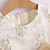 billige Kjoler-småbarns jentekjole jacquard festsløyfe hvit knelang ermeløs søte søte kjoler sommer slank 1-4 år