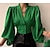 cheap Blouses &amp; Shirts-Women&#039;s Blouse Shirt Green Black Khaki Print Leopard Floral Long Sleeve V Neck Streetwear Casual Regular Floral Geometric Lantern Sleeve S