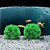 abordables Decoración de acuarios y grava-genuino acuario bola paisajismo chlorella algas marimo feliz ambiental bola de algas verdes