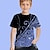 billige drenges 3d t-shirts-Drenge 3D Grafisk T-shirt Kortærmet 3D-udskrivning Sommer Forår Aktiv Sport Mode Polyester Børn 3-12 år udendørs Daglig Indendørs Regulær