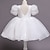 Χαμηλού Κόστους Φορέματα-Παιδιά Λίγο Κοριτσίστικα Φόρεμα Δετοβαμένο Φόρεμα σε γραμμή Α Πάρτι Σουρωτά Δίχτυ Φουσκωτό Μανίκι Ανθισμένο Ροζ Dusty Rose Λευκό Ως το Γόνατο Κοντομάνικο χαριτωμένο στυλ Πριγκίπισσα Φορέματα / Άνοιξη