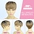 cheap Black &amp; African Wigs-Piexie Cut Wigs for Women Short Pixie Cut Wig With Bangs Gradient Brown Natural Straight Hair Synthetic Wig For Women Layered Wavy Wigs Cute Everyday Wear Wigs