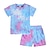 preiswerte Sets-2 Stück kinderkleidung Mädchen Batik Rundhalsausschnitt Shorts Anzug einstellen Kurzarm Aktiv Schulanfang 7-13 Jahre Sommer Gelb Rosa Blau