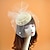 ieftine Costume Vintage &amp; Istorice-Retro / vintage 1950 Anii 1920 Accesoriu de Păr Costum de petrecere Șapcă Fascinator Pentru femei Mascaradă Petrecere / Seara Pălărie