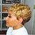cheap Black &amp; African Wigs-Synthetic Wig Curly Pixie Cut Machine Made Wig Short A1 Synthetic Hair Women&#039;s Soft Party Easy to Carry Blonde  Daily Wear  Party  Evening  Daily Christmas Party Wigs