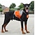 cheap Dog Travel Essentials-Dog Pets Dog Backpack Dog Saddle Bag Dog Carriers Handbag Backpack Waterproof Portable For Outdoor Sporting Patchwork Color Block Cute Nylon Orange Red Black