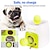 billiga Hundleksaker-interaktiv automatisk bollutsändare för hundar, hundtennisbollkastare för små, medelstora storlekar