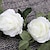 Χαμηλού Κόστους Τεχνητά φυτά-1/3/5 τμχ 240cm/94&quot; τεχνητό λουλούδι ύφασμα μοντέρνο σύγχρονο αμπέλι λουλούδι διακόσμηση γάμου, ψεύτικα λουλούδια για γαμήλια καμάρα κήπος τοίχος σπίτι πάρτι ξενοδοχείο διακόσμηση γραφείου