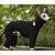 preiswerte Overall-Hund Overall Mode Stilvoll Gewöhnlich Klassicher Stil Retro Vintage Herbst Winter Warm Mode Sport im Freien Hundebekleidung for Windhund