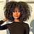 cheap Human Hair Capless Wigs-Remy Human Hair Wig Kinky Curly With Bangs Natural Black Capless Brazilian Hair Women&#039;s Natural Black #1B 8 inch 10 inch 12 inch Party / Evening Daily Wear Vacation