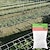 Недорогие аксессуары для ухода за растениями-шпалерная сетка для растений сверхпрочный полиэстер опора для растений лазание по лозе гидропоника аксессуары для садовых сеток многоцелевые аксессуары для садовых сеток