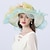 voordelige Feesthoeden-hoed Organza Bruiloft Kentucky Derby Melbourne Cup Zoete stijl Bruids Met Appliqués Helm Hoofddeksels