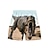 ieftine seturi 3d pentru băiat-Băieți 3D Animal Dinozaur Tricou și Pantaloni scurți Set de îmbrăcăminte Manșon scurt Vară Primăvară Sport Modă Misto Poliester Copii 3-13 ani În aer liber Stradă Sport Fit regulat
