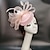 Χαμηλού Κόστους Fascinators-Fascinators Κεντάκι ντέρμπι καπέλο φτερά δίχτυ pillbox καπέλο γυναικεία ημέρα μελβούρνη φλιτζάνι κοκτέιλ βασιλικό άσκοτ headpieces με πουπουλένιο καπάκι κεφαλής