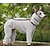 preiswerte Overall-Hund Overall Mode Stilvoll Gewöhnlich Klassicher Stil Retro Vintage Herbst Winter Warm Mode Sport im Freien Hundebekleidung for Windhund